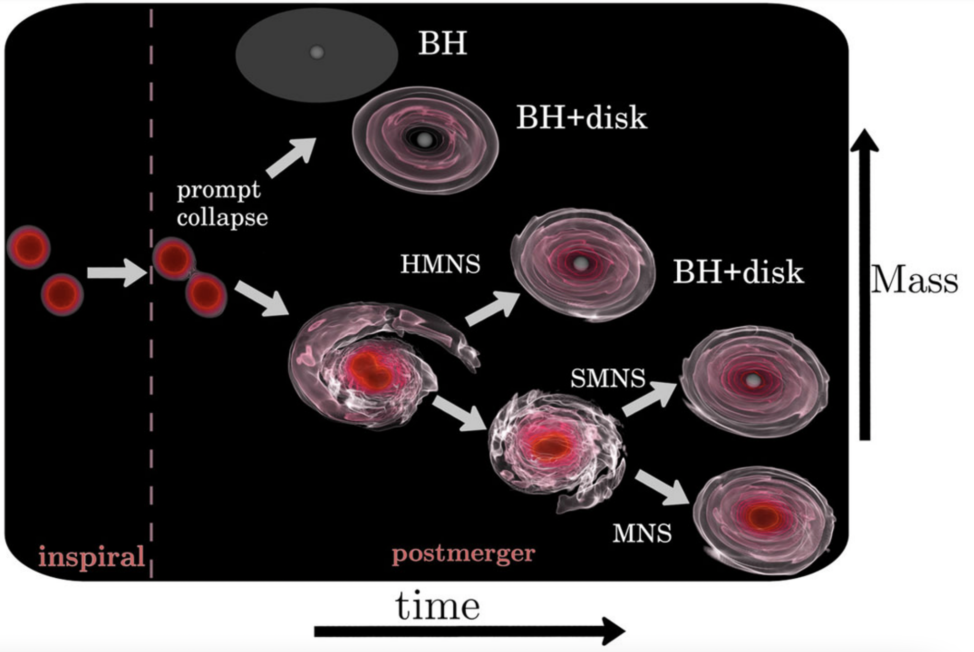 Overview about the BNS Coalescence